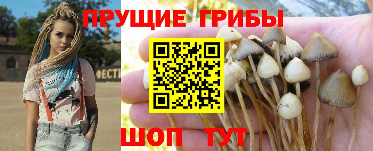 Галлюциногенные грибы Psilocybine cubensis  Галлюциногенные грибы Psilocybe  Жуковский  Вход с VPN 